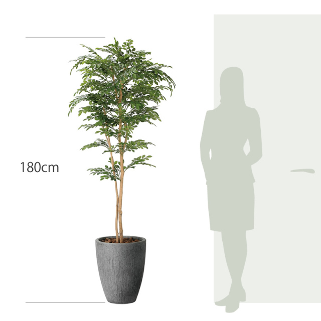 光触媒 光の楽園ナチュラルトネリコ 1.8m【インテリア フェイク