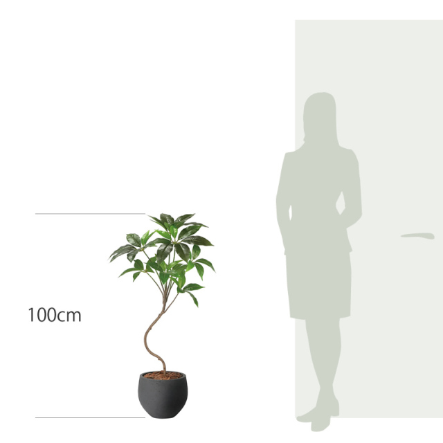 光触媒 光の楽園ナチュラルツビタンサス 1.0m【インテリア