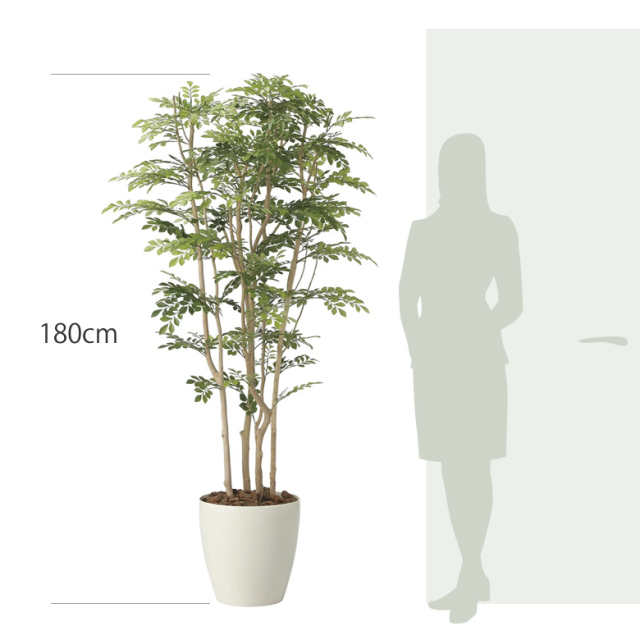 光触媒 光の楽園 ツートントネリコ1.8【インテリア フェイクグリーン