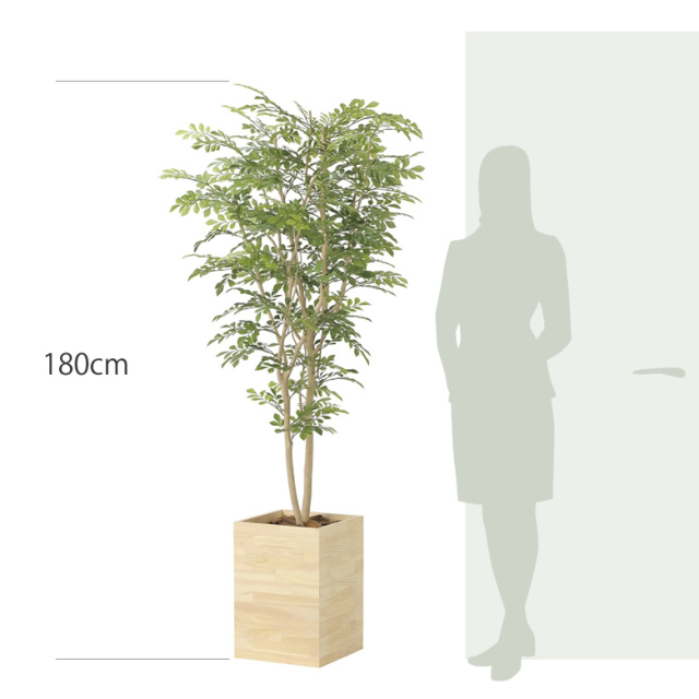 光触媒 光の楽園 ウッドボックストネリコミックス1.8【インテリア