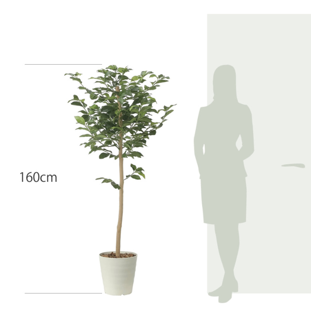 光触媒 光の楽園 レモンツリー1.6【インテリア フェイクグリーン 人工