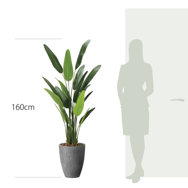 光触媒 光の楽園 ナチュラルトラベラーズパーム1.6【インテリア