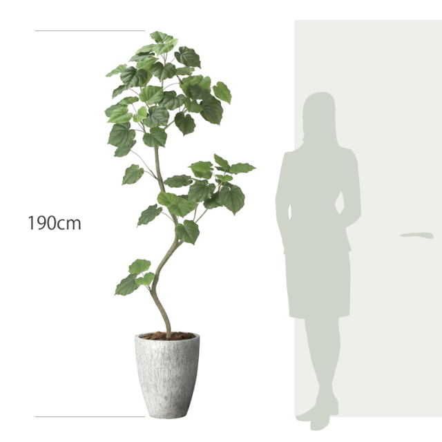 光触媒 光の楽園 ナチュラルウンベラータ1.9（組立式