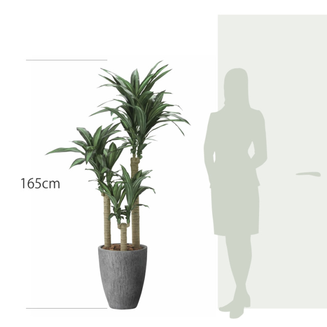 光触媒 光の楽園 ナチュラル幸福の木1.65m【インテリア フェイク