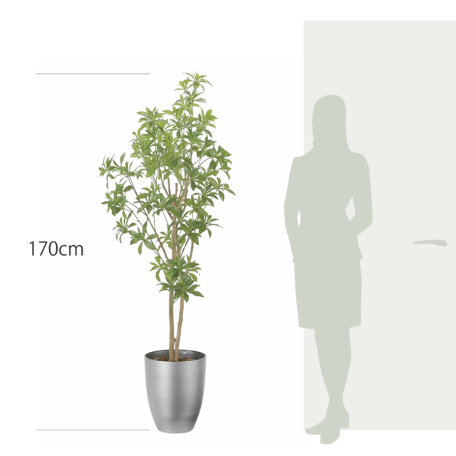 光触媒 光の楽園 インテリアフレッシュアセビ1.7m【インテリア