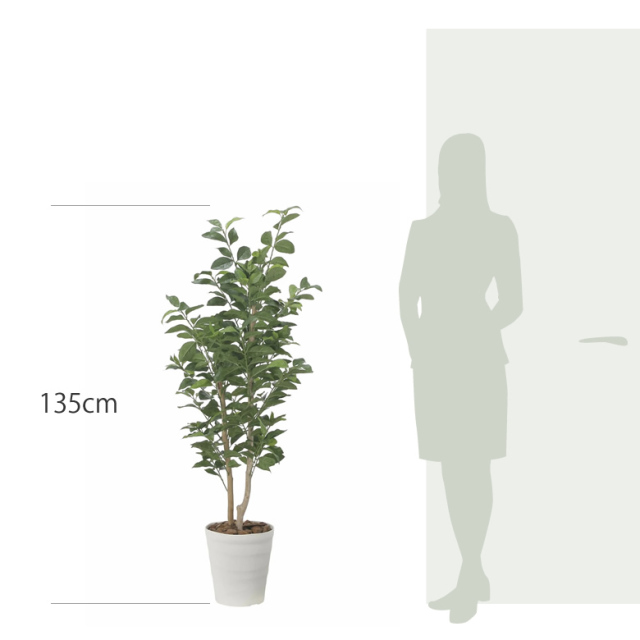 光触媒　人工観葉植物　ウォールグリーン　フェイクグリーン　レモン1.25m 光触媒 人工観葉植物 ウォールグリーン フェイクグリーン レモン1.25m