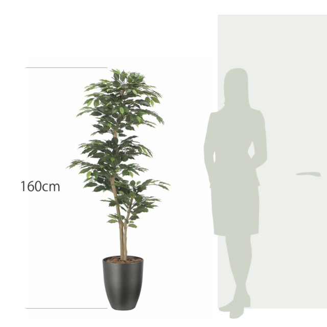 光触媒 光の楽園 インテリアベンジャミン1.6m【インテリア フェイク