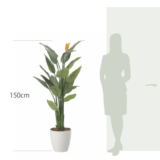 光触媒　人工観葉植物　ウォールグリーン　フェイクグリーン　ストレチアレギア 光触媒 人工観葉植物 ウォールグリーン フェイクグリーン ストレチア