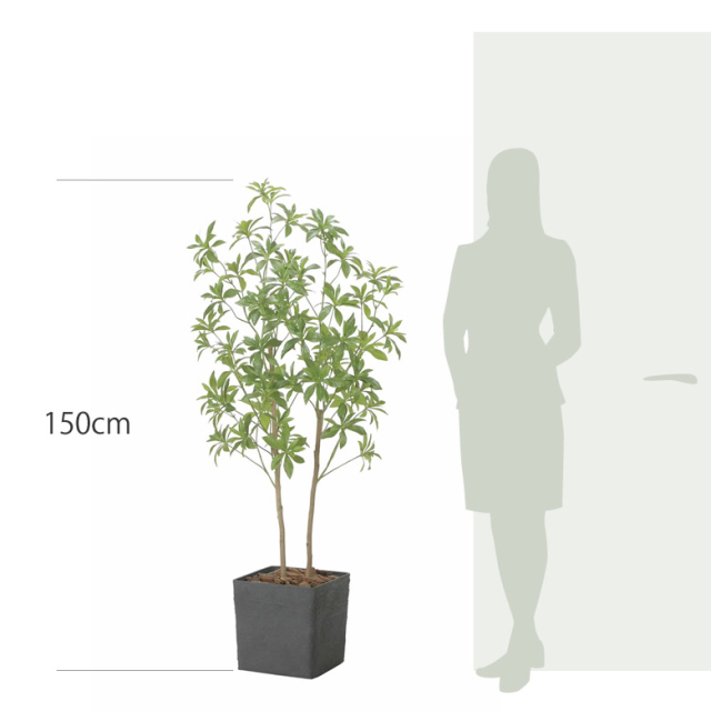 光触媒 光の楽園 インテリアフレッシュアセビ1.5m【インテリア