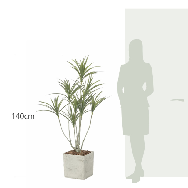 光触媒 光の楽園 インテリアドラセナ1.4（ポリ製）【インテリア