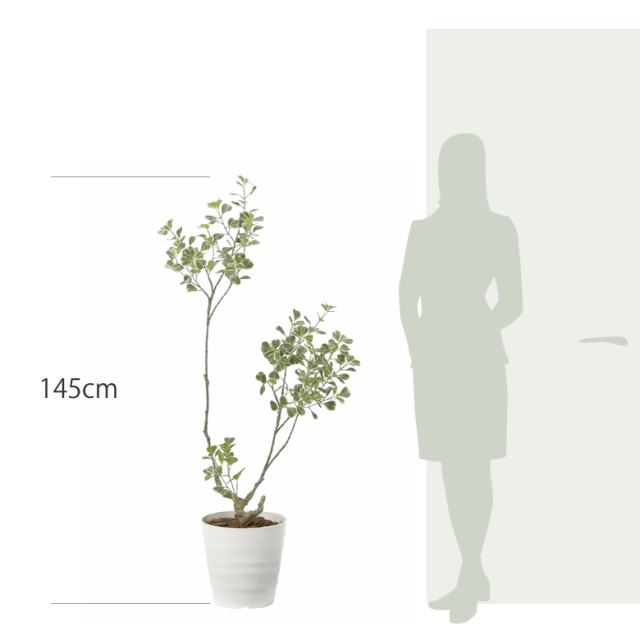 光触媒 光の楽園 スリムフィカストライアングル1.45m【インテリア