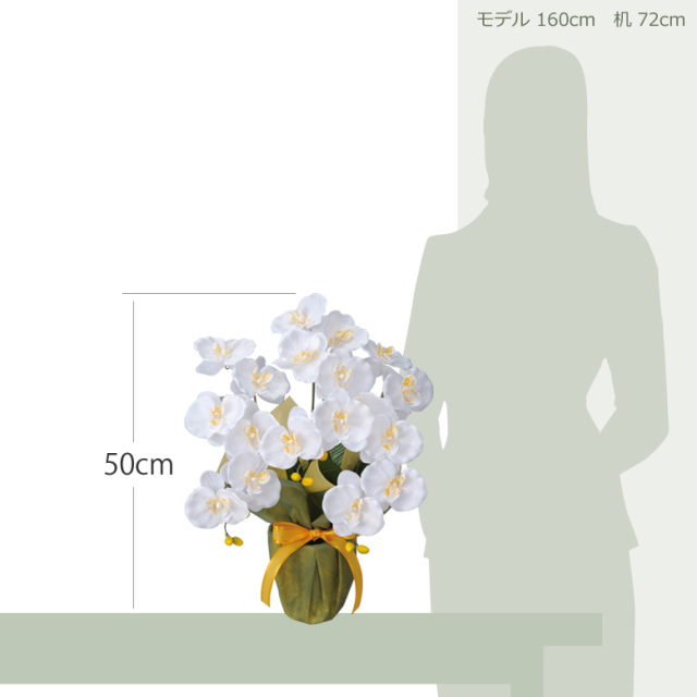 item_size_25k40.jpg?t=