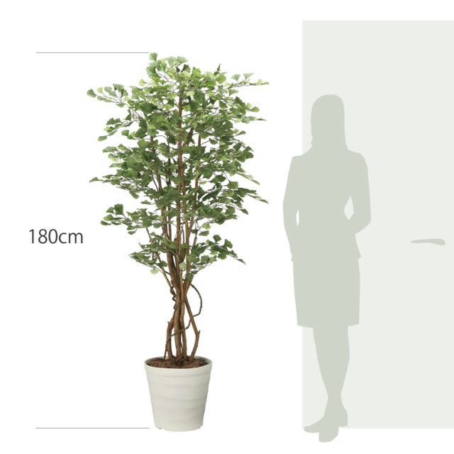 光触媒　人工観葉植物　ウォールグリーン　フェイクグリーン　イチョウの木1.8 光触媒 光の楽園 イチョウの木1.8m【インテリア フェイクグリーン 人工