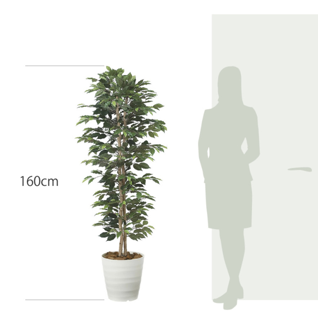 光触媒 光の楽園 ベンジャミンスリム1.6m【インテリア フェイク