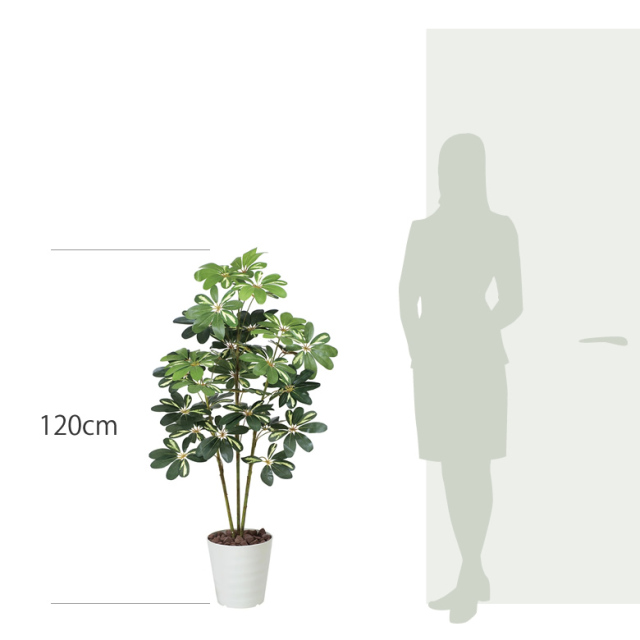 光触媒　人工観葉植物　ウォールグリーン　フェイクグリーン　カポック斑入リ1.2m 光触媒 光の楽園 カポック斑入リ1.2m【インテリア フェイク