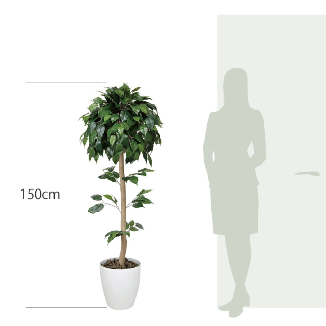 光触媒　人工観葉植物　ウォールグリーン　フェイクグリーン　ベンジャミン16016 光触媒 人工観葉植物 ウォールグリーン フェイクグリーン ベンジャミン