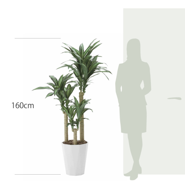 人工観葉植物　 フェイクグリーン 幸福の木 約180cm Amazon | フェイクグリーン 幸福の木 高さ180cm 【 観葉植物 フェイク
