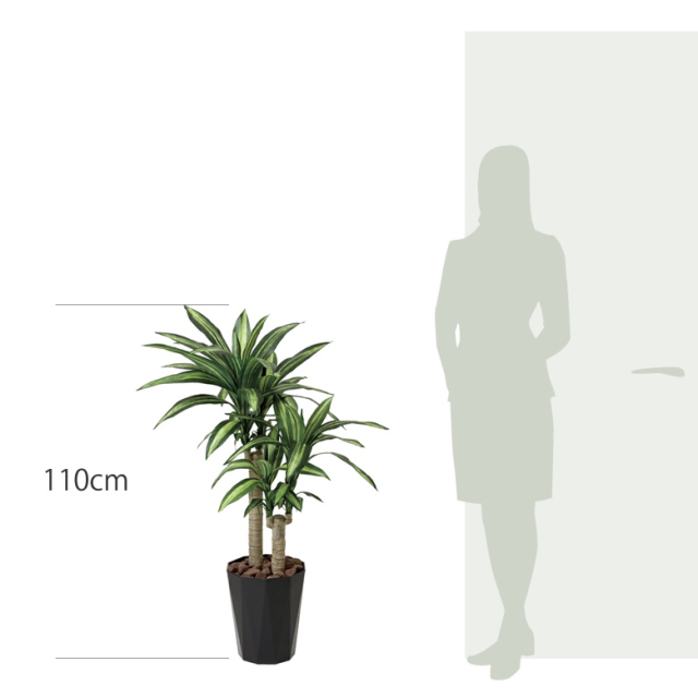 光触媒　人工観葉植物　フェイクグリーンナチュラル幸福の木1.65 楽天市場】幸福の木 ドラセナ 高さ180cm 1台お手入れ簡単