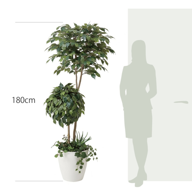 item_size_413a500.jpg?t=