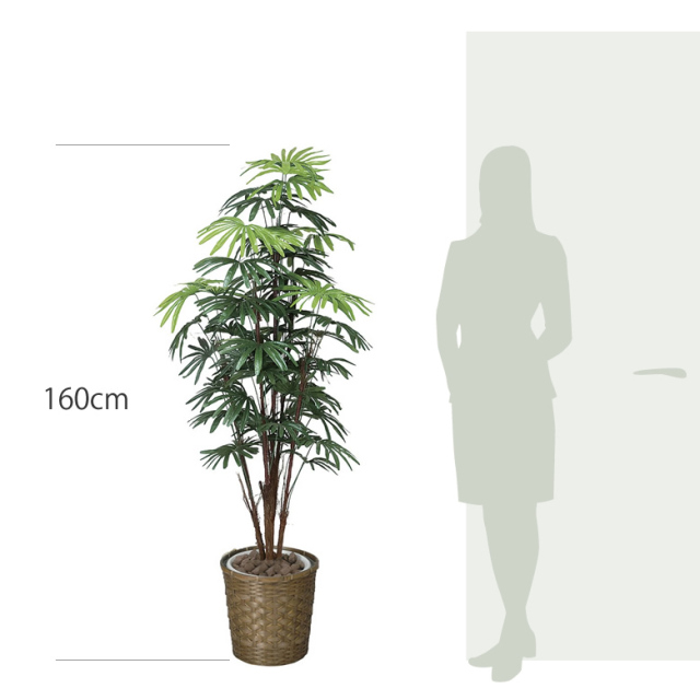 光触媒　人工観葉植物　ウォールグリーン　フェイクグリーン　シュロチクak 光触媒 人工観葉植物 ウォールグリーン フェイクグリーン 壁掛け855105