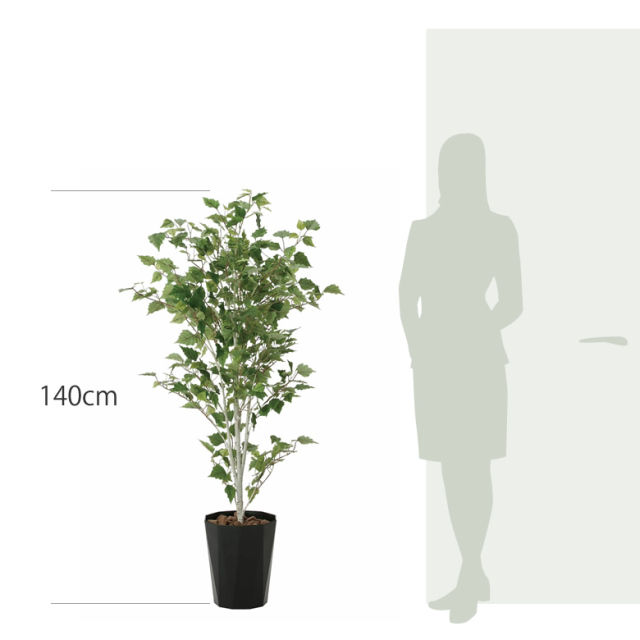 光触媒 光の楽園 白樺1.4m【インテリア フェイクグリーン 人工観葉植物