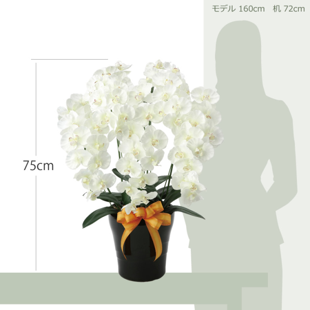 光触媒 光の楽園 プレミアム胡蝶蘭5本立W【アートフラワー 造花