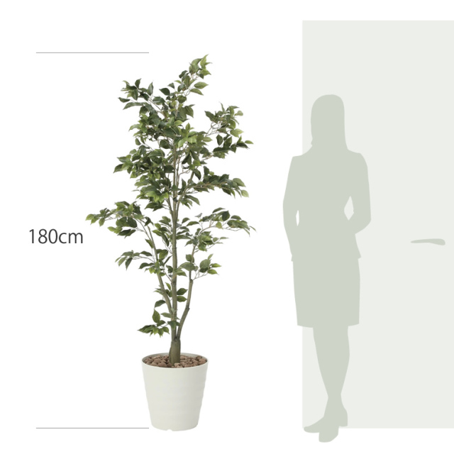 光触媒 光の楽園 フィカスツリー1.8m【インテリア フェイクグリーン