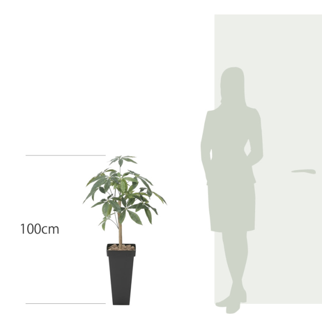 光触媒 光の楽園 スリムパキラ1.0m【インテリア フェイク