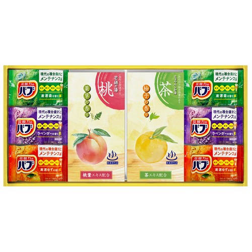 【送料無料】炭酸力の薬用入浴剤セット (2542-03 )