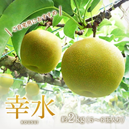 幸水自宅