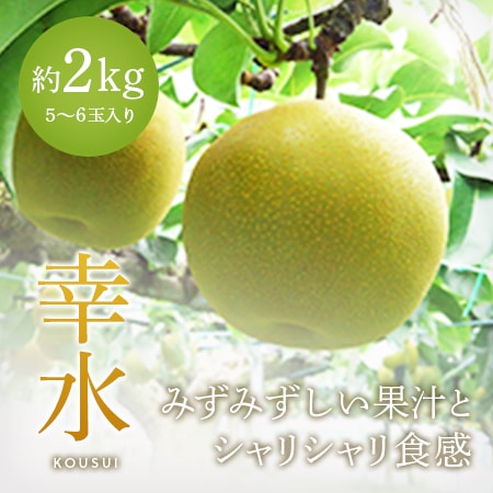 幸水2