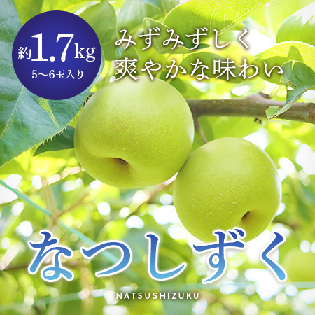 なつしずく1.7kg5-6玉