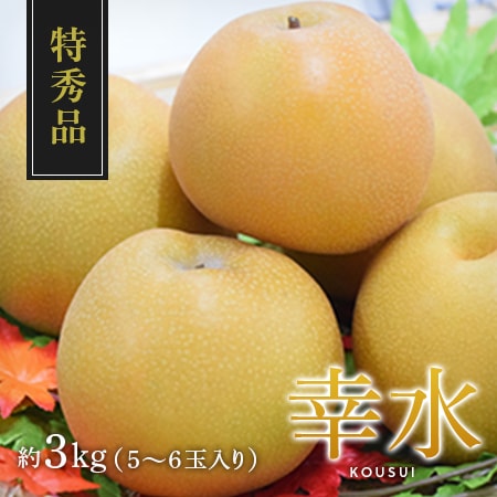 特秀品幸水