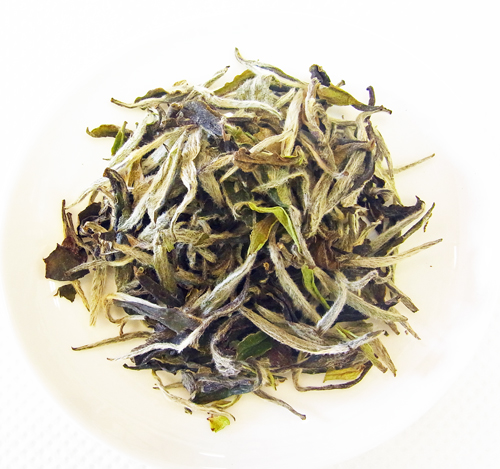 2018明蘭・白牡丹(15g)