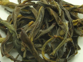 鳳凰単叢　黄枝香（15ｇ）