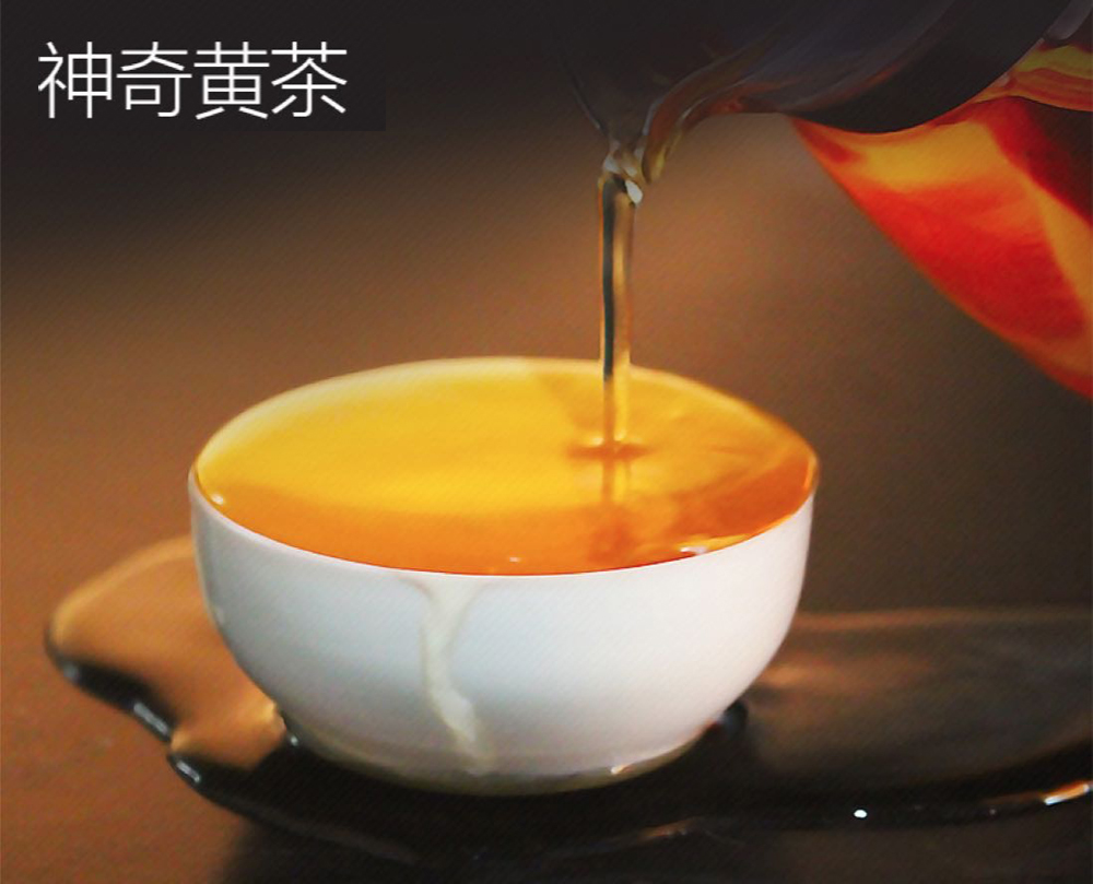 霍山黄大茶（高火香）20ｇ