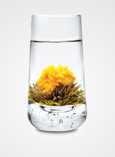 出水芙蓉（2個）