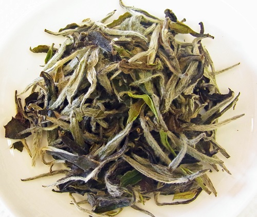 2020 陳香 白牡丹 (20g)