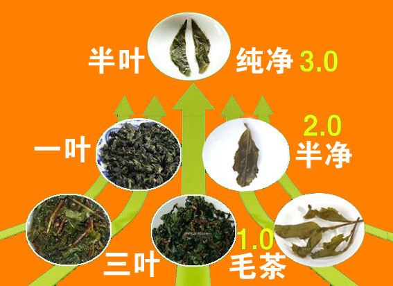 半叶鉄観音(濃香型)