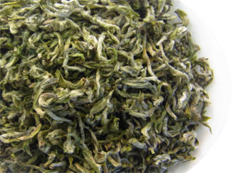 新芽 名人農家 碧螺春 15g