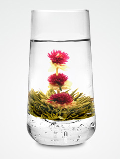 茶花依恋（2個）