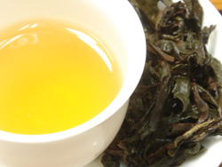 武夷岩茶　金牡丹　25g