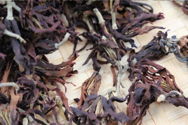 玉蘭花　15g