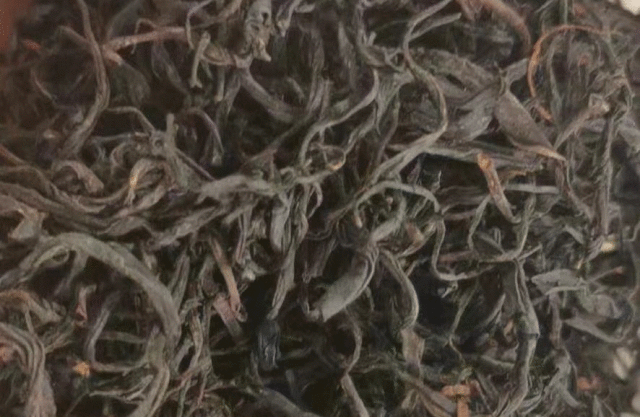 正宗老枞  九曲紅梅（群体種）-15ｇ