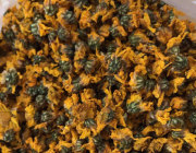 北タイ菊花（有機）