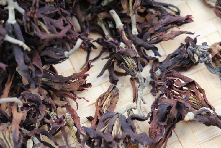 玉蘭花　15g