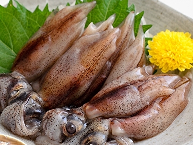 冷凍ホタルイカＴＯＰ２