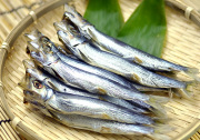 イワシ丸干し