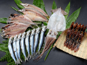 ホタルイカ入り地魚セット