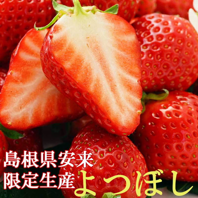 【ご注文から3日以内に発送します】【日付指定可能】島根県　安来市産　2L サイズ よつぼし【イチゴ】【いちご】【苺】【母の日】送料無料】※北海道・沖縄は送料1000円をお願いします。